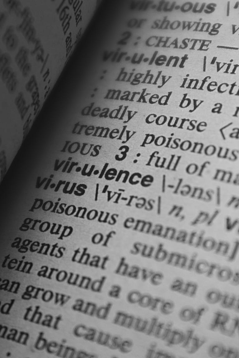 pexels-photo-4440720